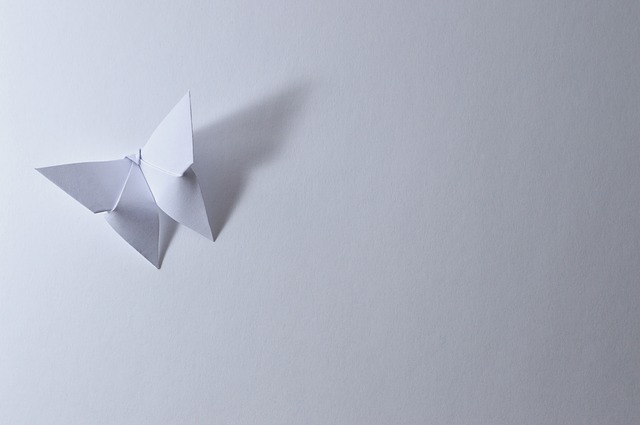 origami motýl
